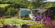 Shepherd's Hut at Belan Bluebell Woods