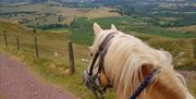 Tregoyd Mountain Riders