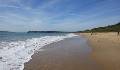 does tenby beach allow dogs