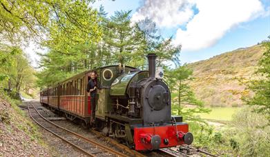 Loco No.4 'Edward Thomas' waits at Quarry Sidings to cross with another train.  Pic Barbara Fuller