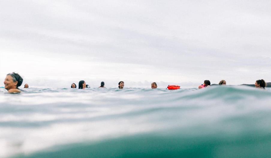 The Bluetits Chill Swimmers Ltd The Bluetits Chill Swimmers Ltd