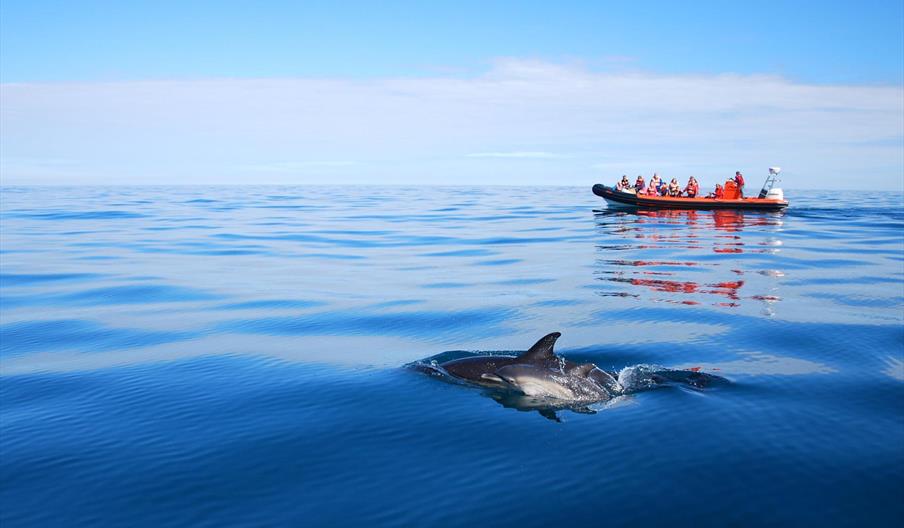 Voyages of Discovery Voyages of Discovery