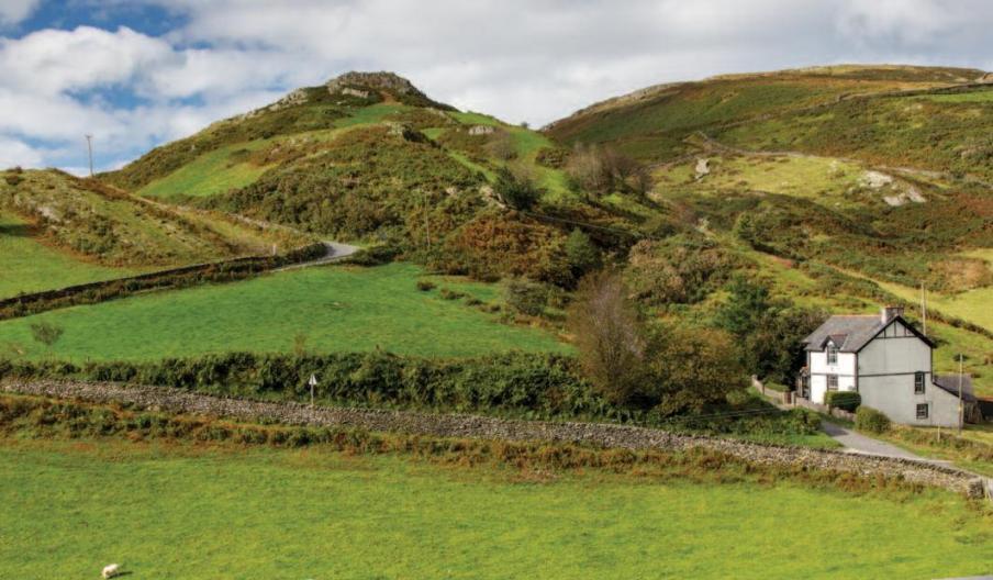 Dyfi Discovery Walk | Cwrt Walk Dyfi Discovery Walk | Cwrt Walk