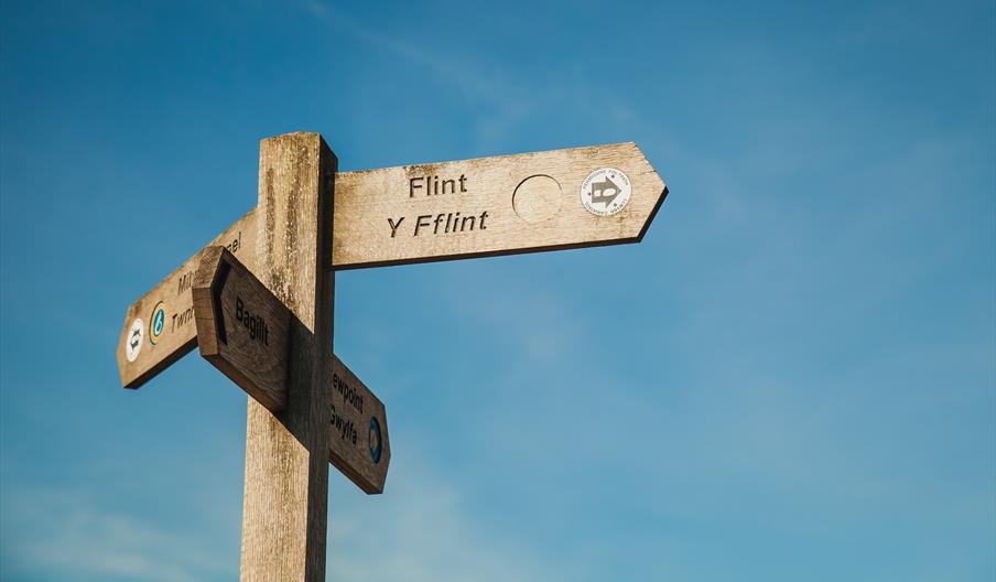 Flint Flint